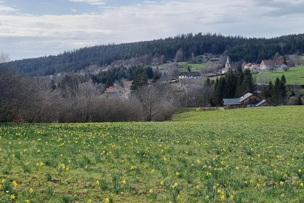 Villa Le Grenier De Jules Et Marguerite Liézey Esterno foto
